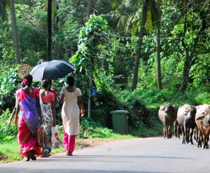 Natural Agonda Streets
