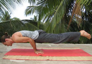 Mayura Asana (Peacock)