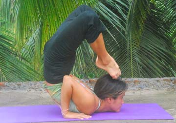 Vrichika Asana (Scorpion)