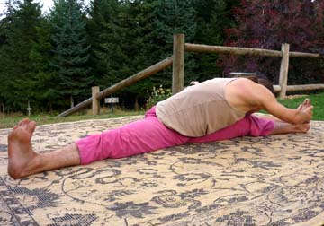 TriKona Asana (Triangle)