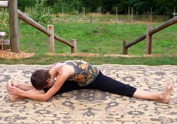 TriKona Asana (Triangle)
